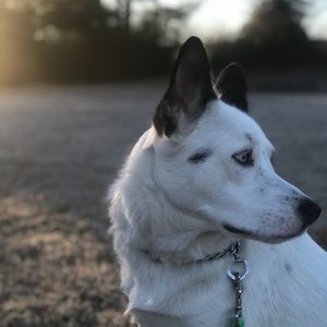 Meet your Posher, Molly